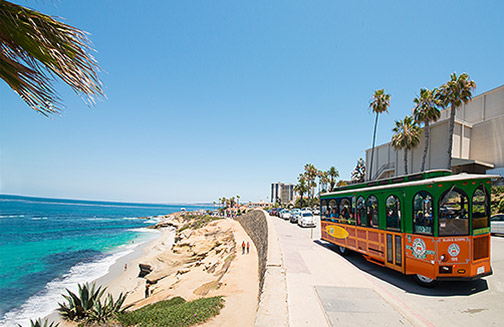 La Jolla and San Diego Beaches 'Day-Tripper' Tour
